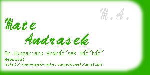 mate andrasek business card